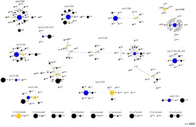 Antibiotic Treatment and Age Are Associated With Staphylococcus aureus Carriage Profiles During Persistence in the Airways of Cystic Fibrosis Patients